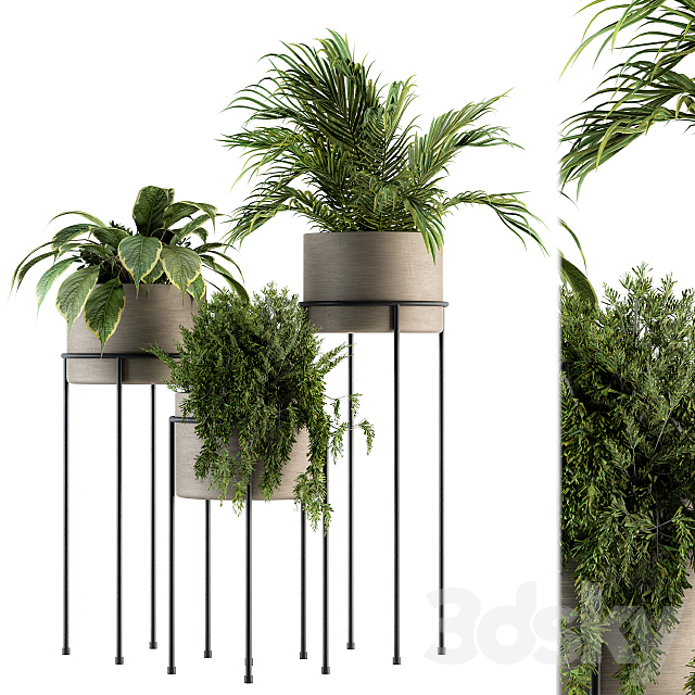 indoor Plant Set 129 – Plant Stand 3DSMax File - thumbnail 1