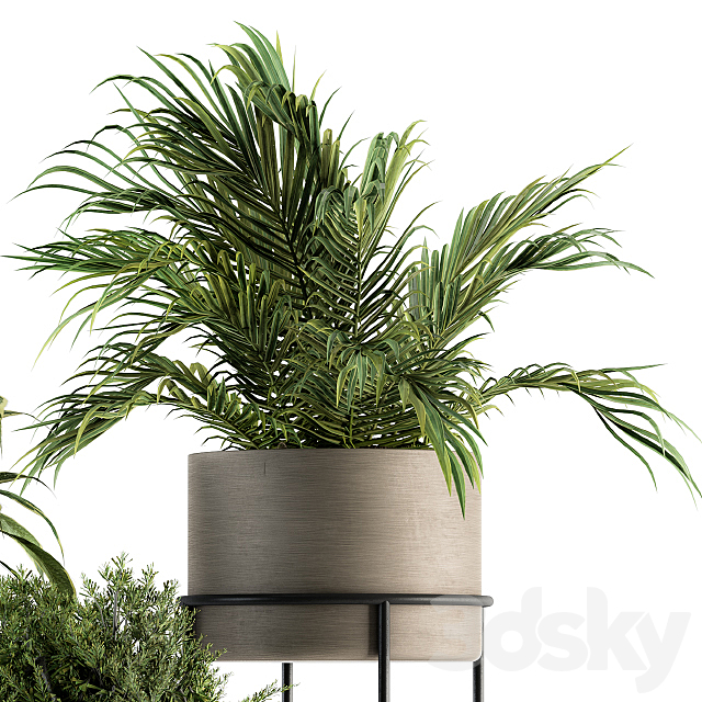 indoor Plant Set 129 – Plant Stand 3DSMax File - thumbnail 2