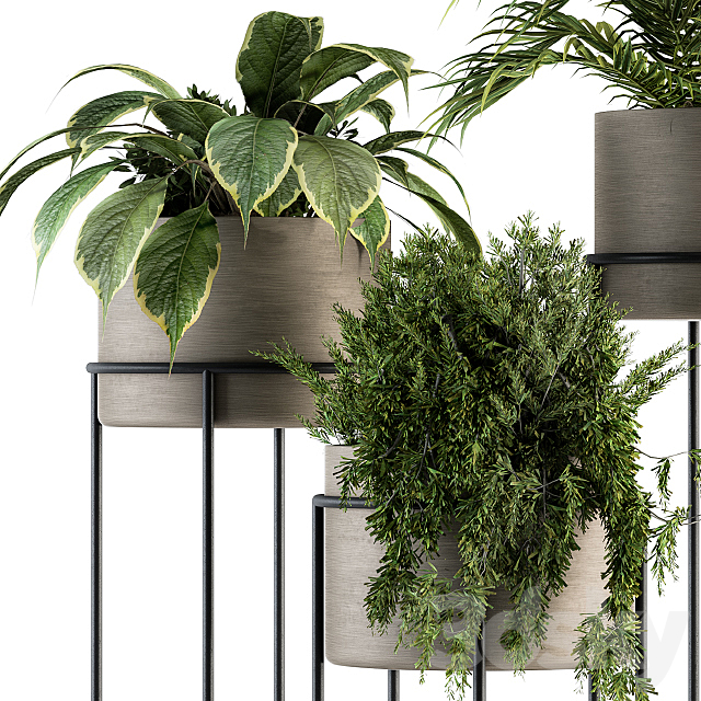 indoor Plant Set 129 – Plant Stand 3DSMax File - thumbnail 3