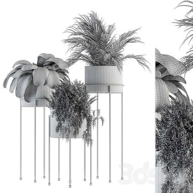 indoor Plant Set 129 – Plant Stand 3DSMax File - thumbnail 4