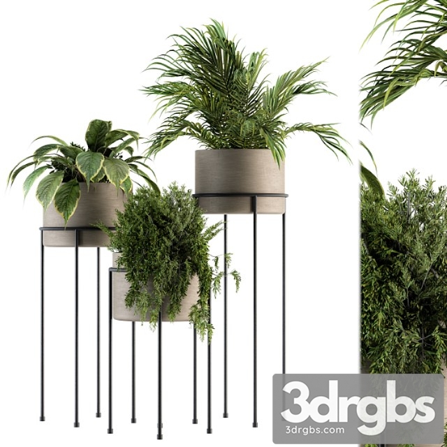 Indoor plant set 129 – plant stand - thumbnail 1