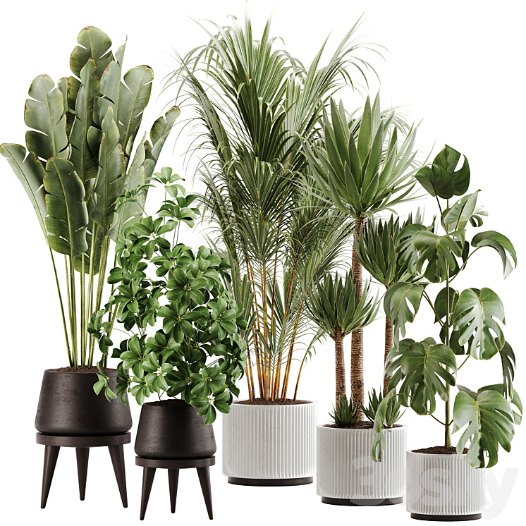 indoor plant Set 13 3DS Max Model - thumbnail 1