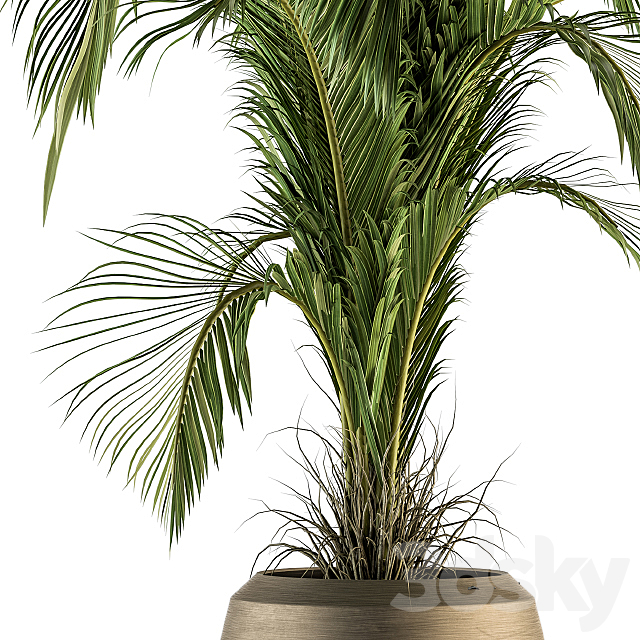 indoor Plant Set 132 – Tropical Plant 3DSMax File - thumbnail 2