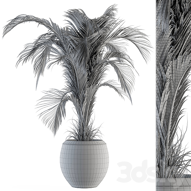 indoor Plant Set 132 – Tropical Plant 3DSMax File - thumbnail 4