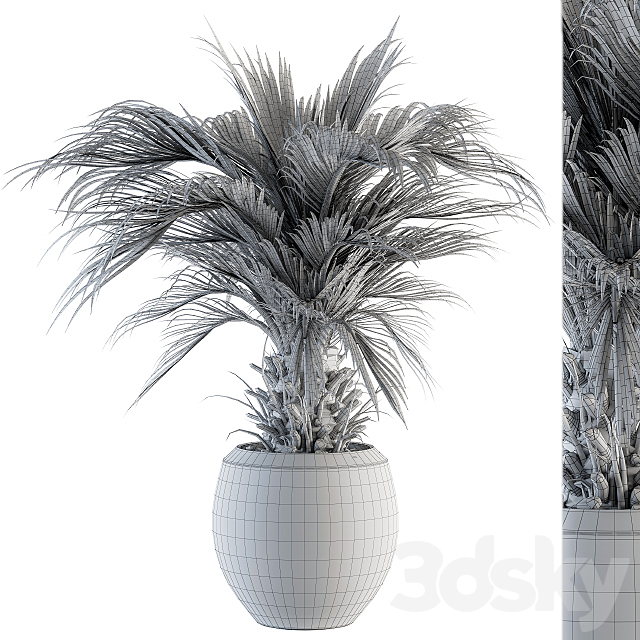 indoor Plant Set 133 – Palm Plant in Pot 3DS Max Model - thumbnail 4