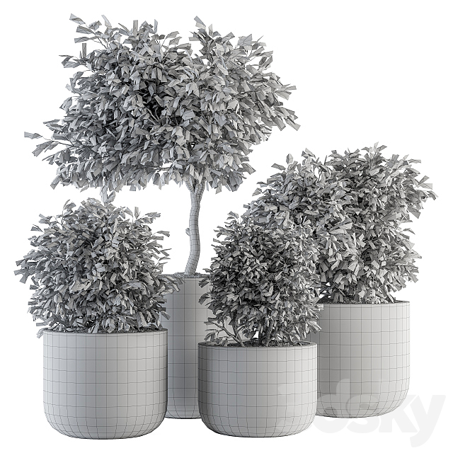 indoor Plant Set 141 – Plant in Pot 3DS Max Model - thumbnail 5