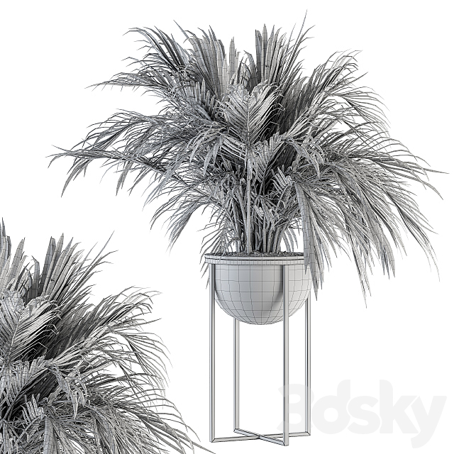 indoor Plant Set 158 – Tropical Plant 3DS Max Model - thumbnail 5