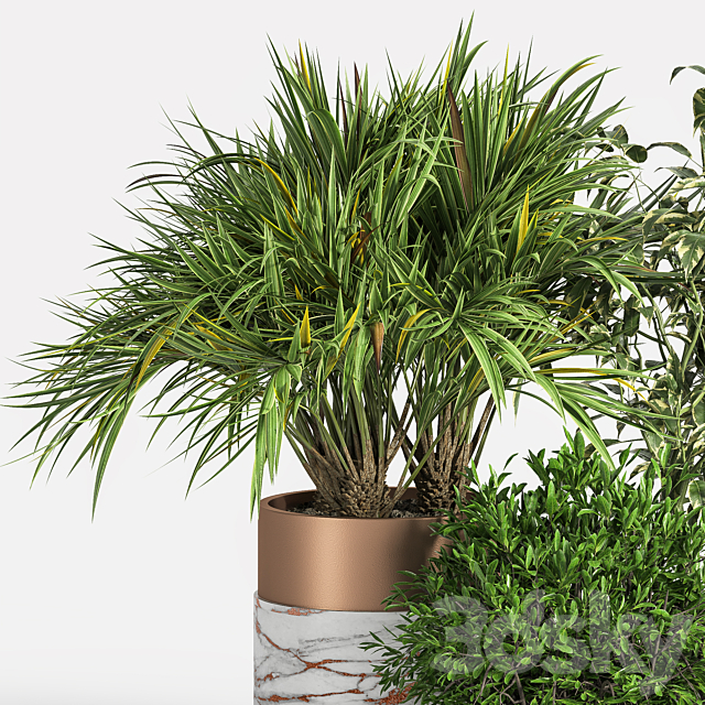 Indoor Plant Set 16 3DS Max Model - thumbnail 2