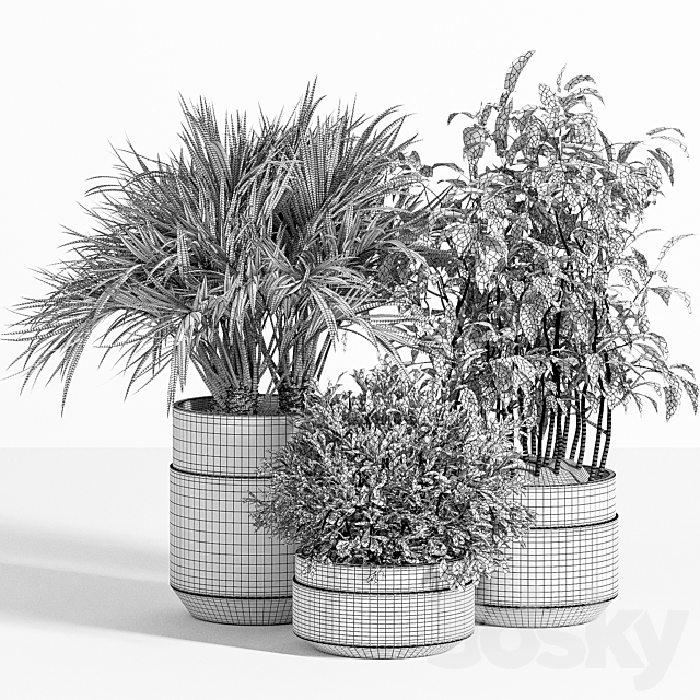 Indoor Plant Set 16 3DS Max Model - thumbnail 5