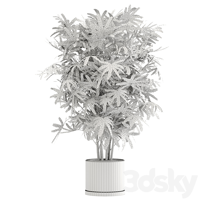 indoor plant Set 16 3DSMax File - thumbnail 2