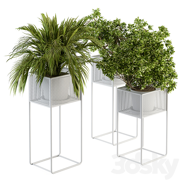 indoor Plant Set 174 – Plant in stand box 3DSMax File - thumbnail 1