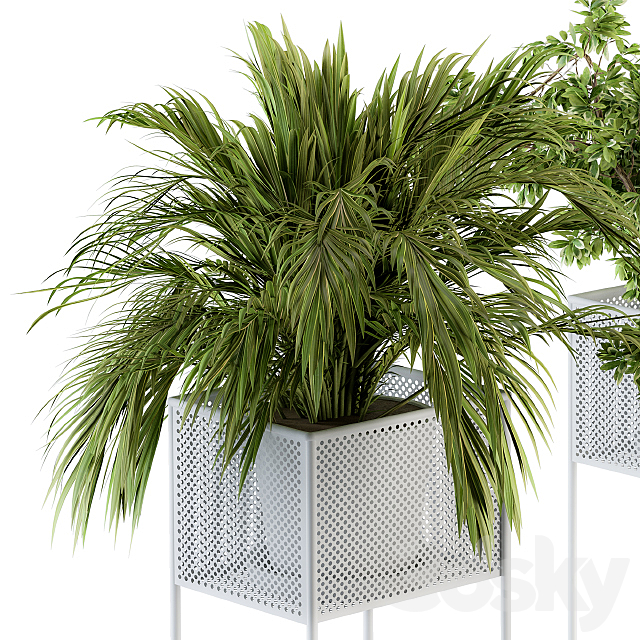 indoor Plant Set 174 – Plant in stand box 3DSMax File - thumbnail 4