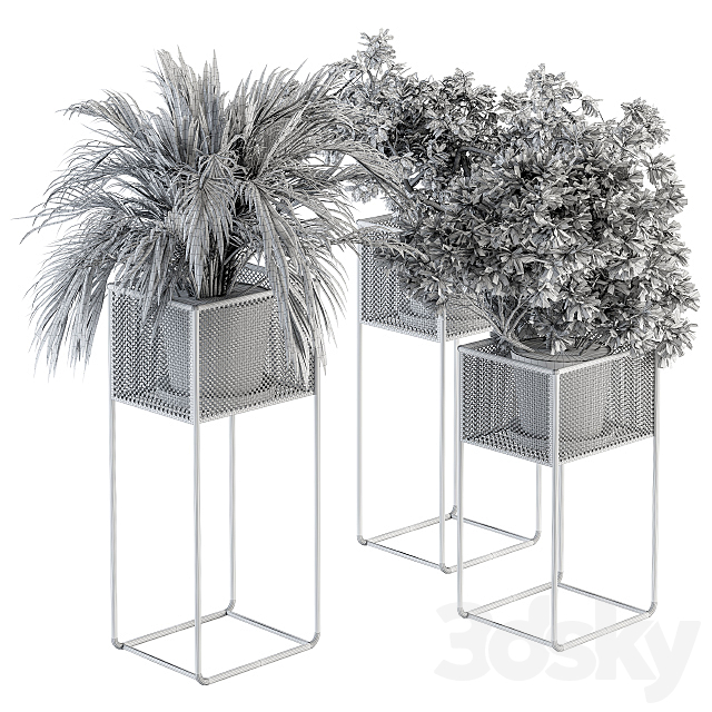 indoor Plant Set 174 – Plant in stand box 3DSMax File - thumbnail 5