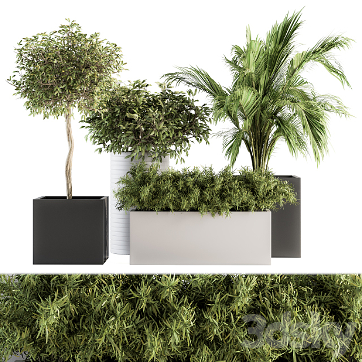 indoor Plant Set 188 – Plant Boxes 3DS Max - thumbnail 1