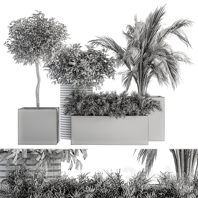 indoor Plant Set 188 – Plant Boxes 3DSMax File - thumbnail 4