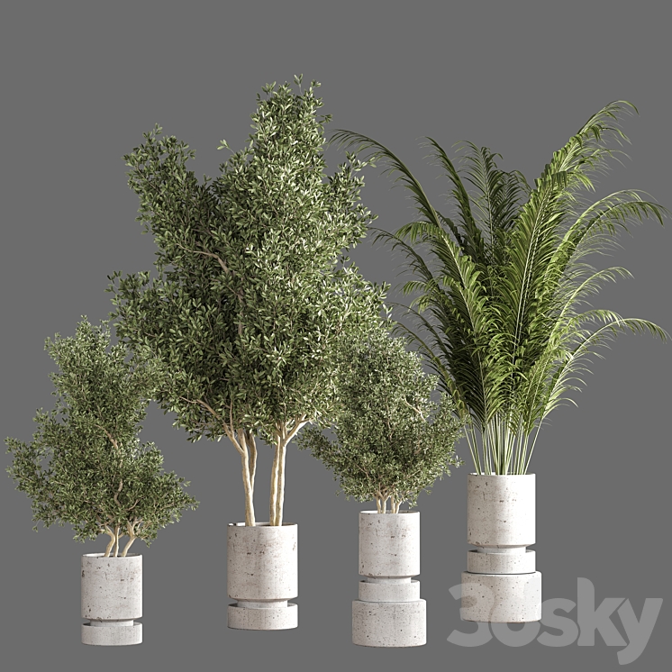 indoor plant set 19 3DS Max Model - thumbnail 1