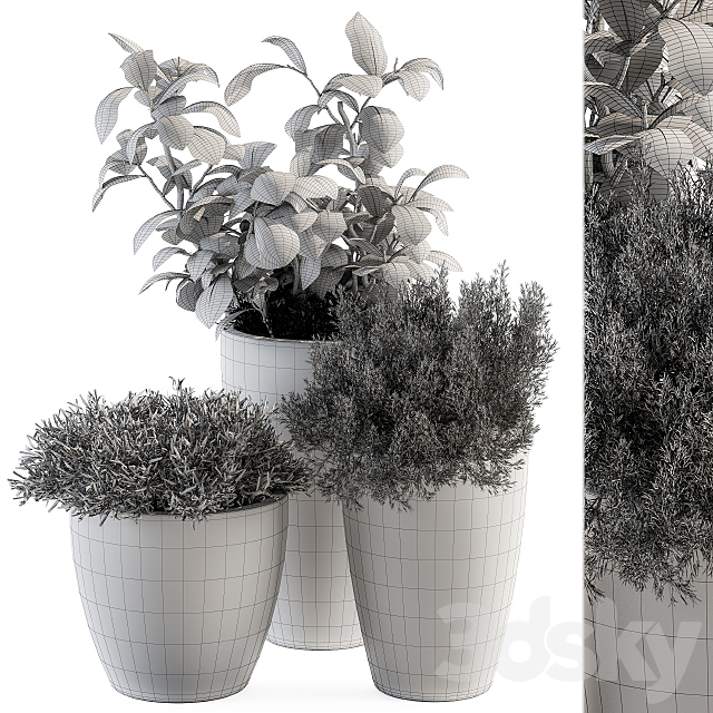 indoor Plant Set 191 – Plant in pot 3DSMax File - thumbnail 5