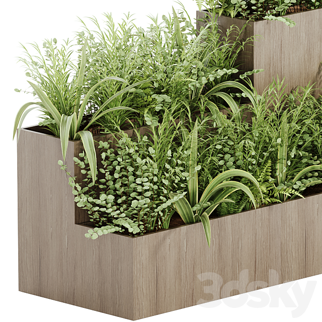 indoor plant Set 21 3DSMax File - thumbnail 4