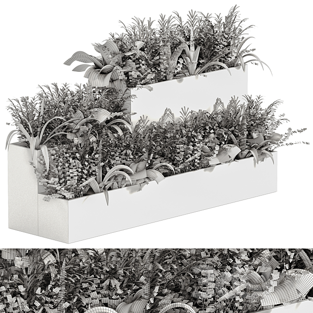 indoor plant Set 21 3DSMax File - thumbnail 7