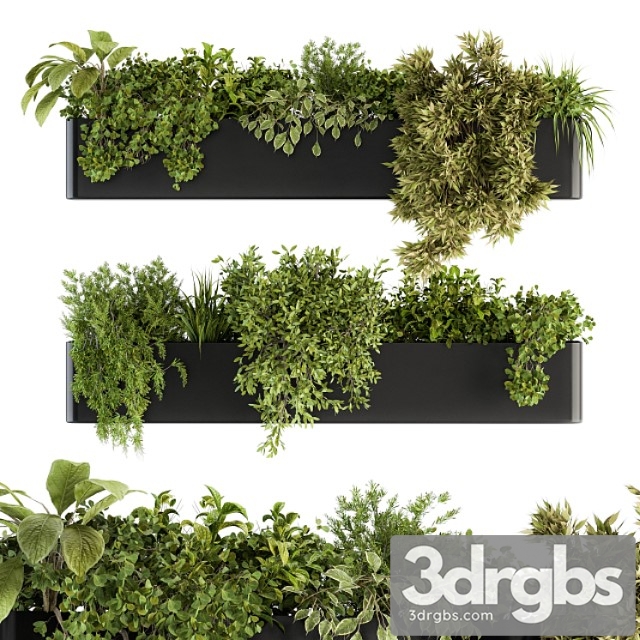 Indoor plant set 210 – hanging plants - thumbnail 1