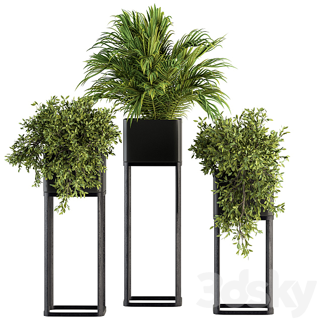 indoor Plant Set 211 – Plant Box Stand 3DSMax File - thumbnail 2