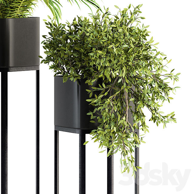 indoor Plant Set 211 – Plant Box Stand 3DSMax File - thumbnail 3