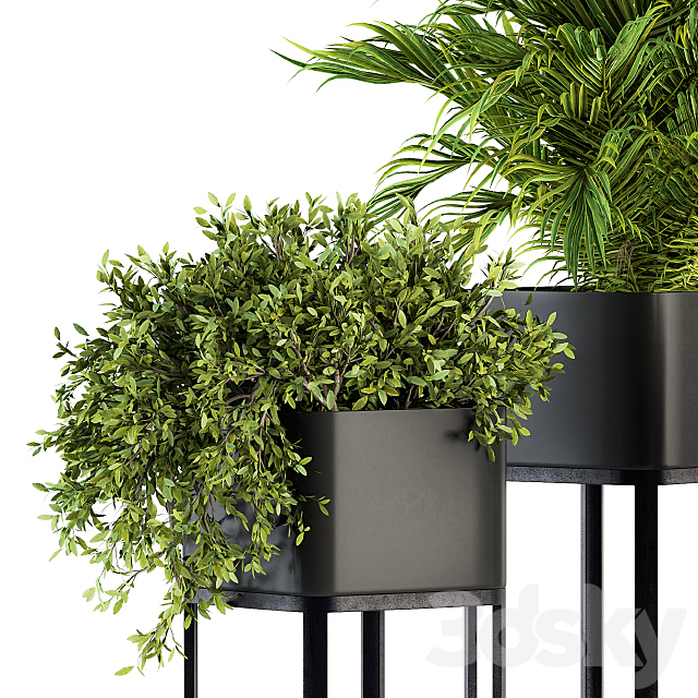 indoor Plant Set 211 – Plant Box Stand 3DSMax File - thumbnail 4