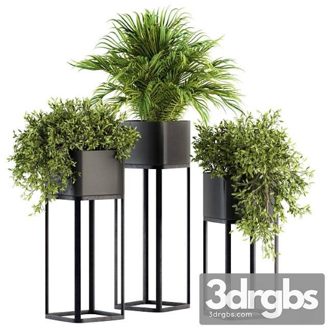 Indoor plant set 211 – plant box stand - thumbnail 1