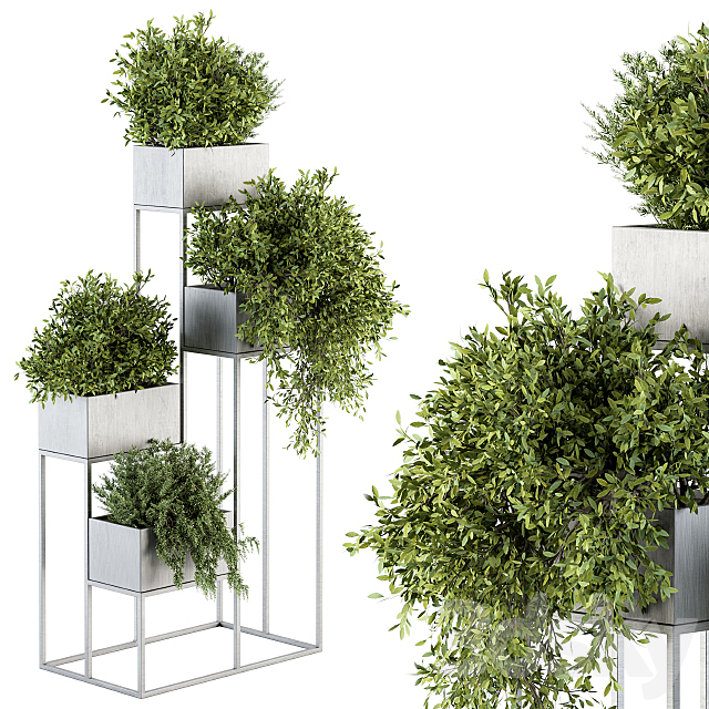 indoor Plant Set 213 – Silver Plant Stand 3DSMax File - thumbnail 1