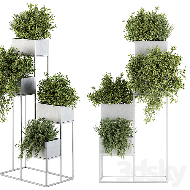 indoor Plant Set 213 – Silver Plant Stand 3DSMax File - thumbnail 2