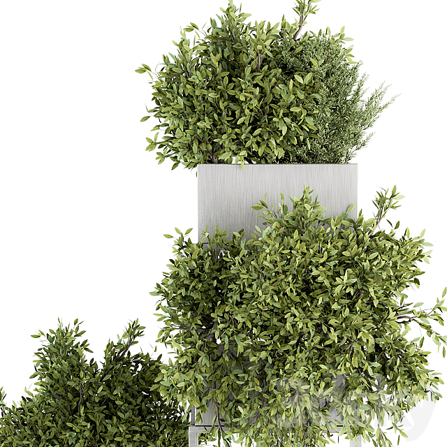 indoor Plant Set 213 – Silver Plant Stand 3DSMax File - thumbnail 4