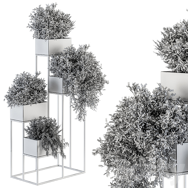 indoor Plant Set 213 – Silver Plant Stand 3DSMax File - thumbnail 5