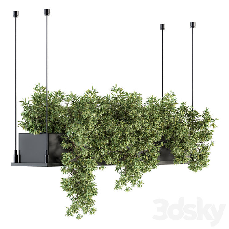 indoor Plant Set 217 – Hanging Plant Box 3DS Max - thumbnail 1