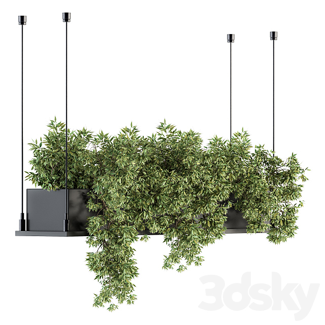 indoor Plant Set 217 – Hanging Plant Box 3DSMax File - thumbnail 1