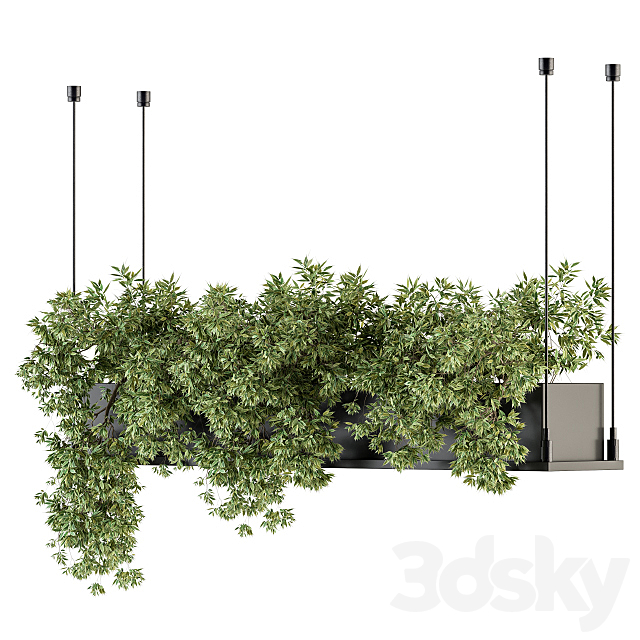 indoor Plant Set 217 – Hanging Plant Box 3DSMax File - thumbnail 2