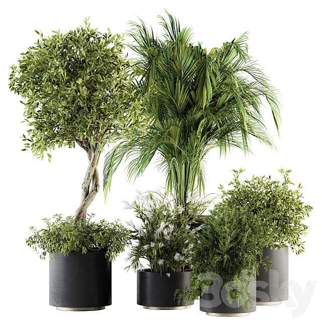 indoor Plant Set 222 – Plant Set in pot 3DSMax File - thumbnail 1