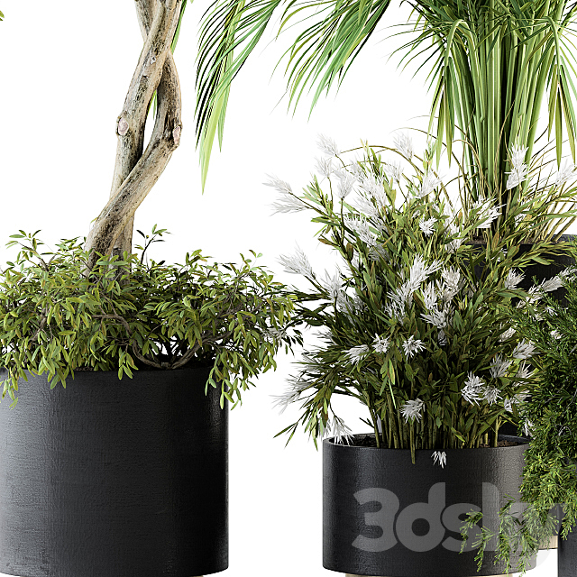 indoor Plant Set 222 – Plant Set in pot 3DSMax File - thumbnail 2