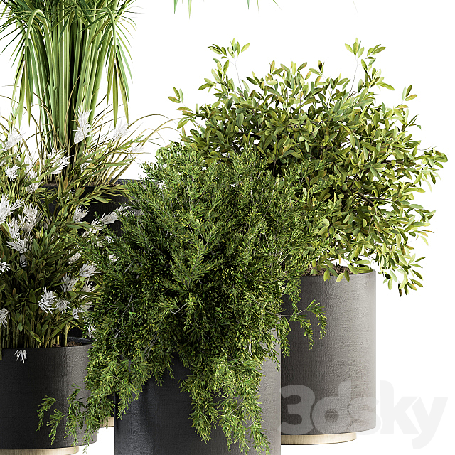 indoor Plant Set 222 – Plant Set in pot 3DSMax File - thumbnail 3