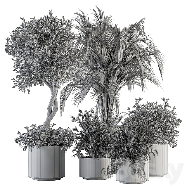 indoor Plant Set 222 – Plant Set in pot 3DSMax File - thumbnail 6