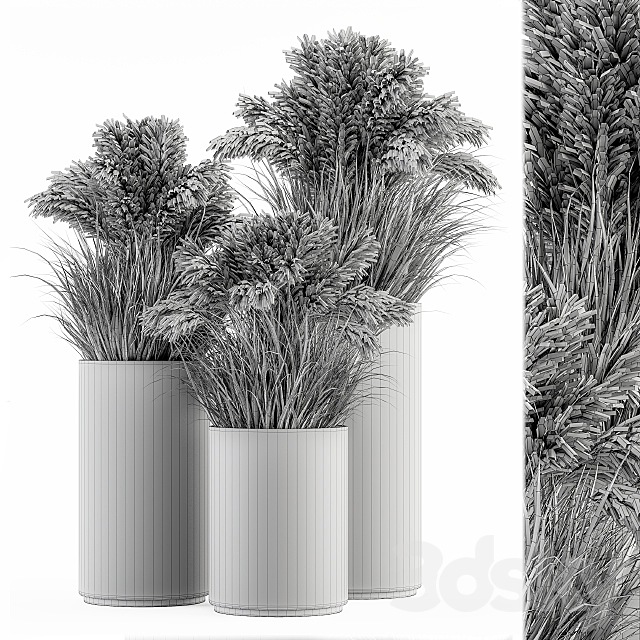 indoor Plant Set 224 -Big Pampas 3DSMax File - thumbnail 5