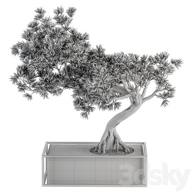 indoor Plant Set 225 – Bonsai Plant 3DSMax File - thumbnail 6