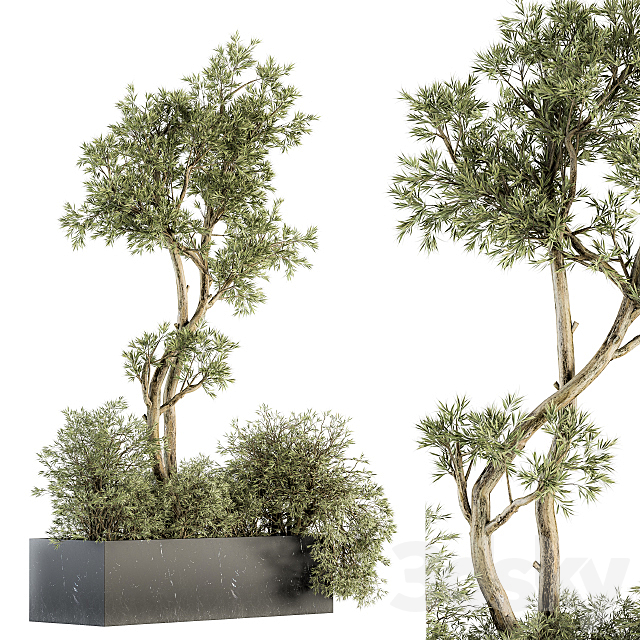 indoor Plant Set 226 – Plant in Marble Box 3DS Max Model - thumbnail 2