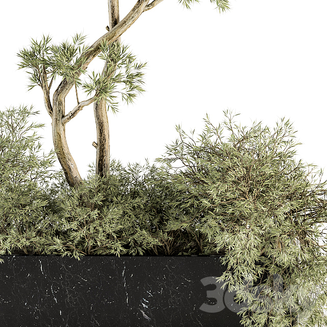 indoor Plant Set 226 – Plant in Marble Box 3DS Max Model - thumbnail 3