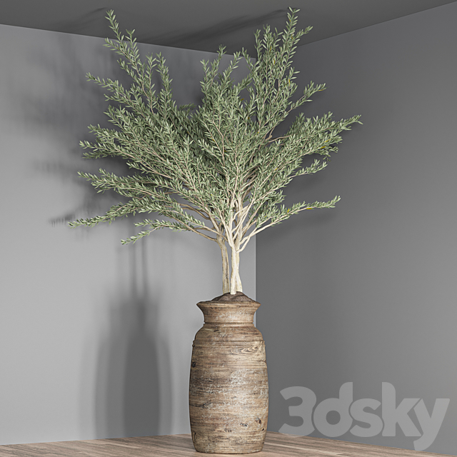 indoor plant set 23 3DS Max Model - thumbnail 4