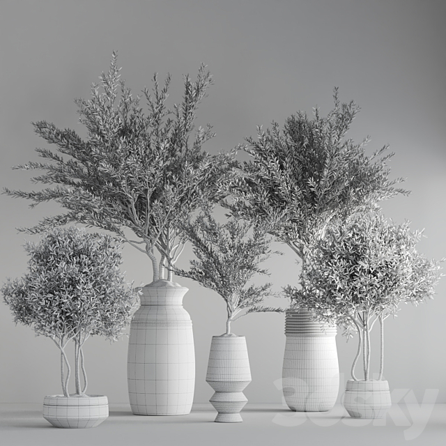 indoor plant set 23 3DS Max Model - thumbnail 7