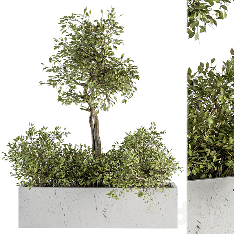 indoor Plant Set 235 – Plant Set in Box 3DS Max - thumbnail 1