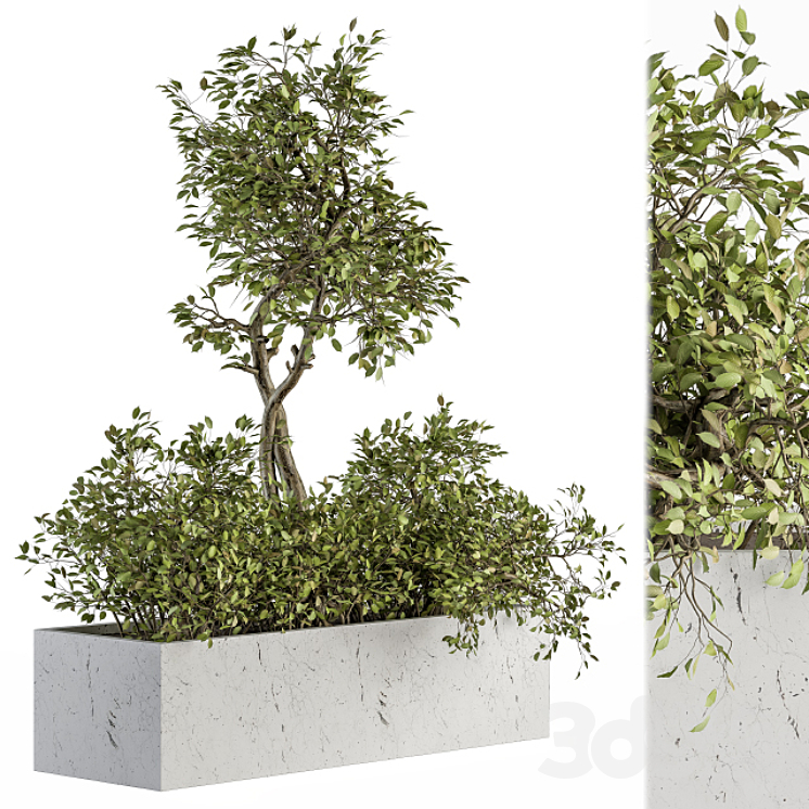 indoor Plant Set 235 – Plant Set in Box 3DS Max - thumbnail 2