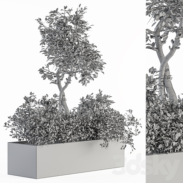 indoor Plant Set 235 – Plant Set in Box 3DS Max Model - thumbnail 5