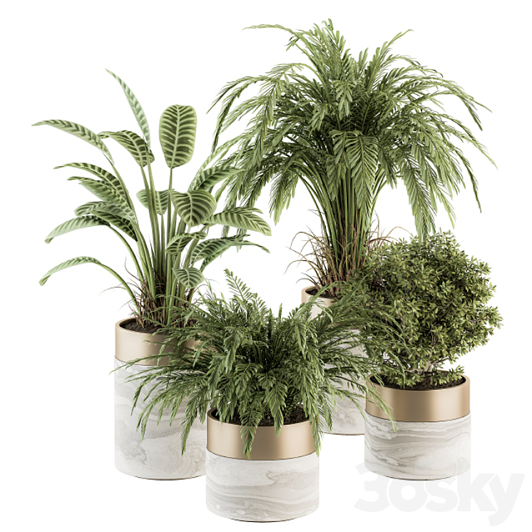 indoor Plant Set 245 – Plant Set in pot 3DS Max - thumbnail 1