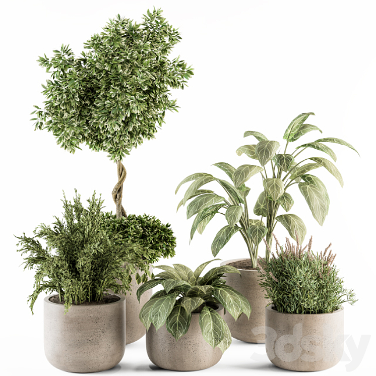 indoor Plant Set 247 – Plant Set in Pot 3DS Max Model - thumbnail 3